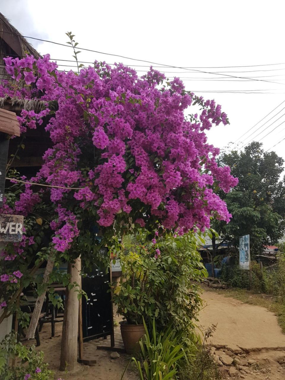 Lattanavongsa Guesthouse And Bungalows Muang Ngoi Zewnętrze zdjęcie